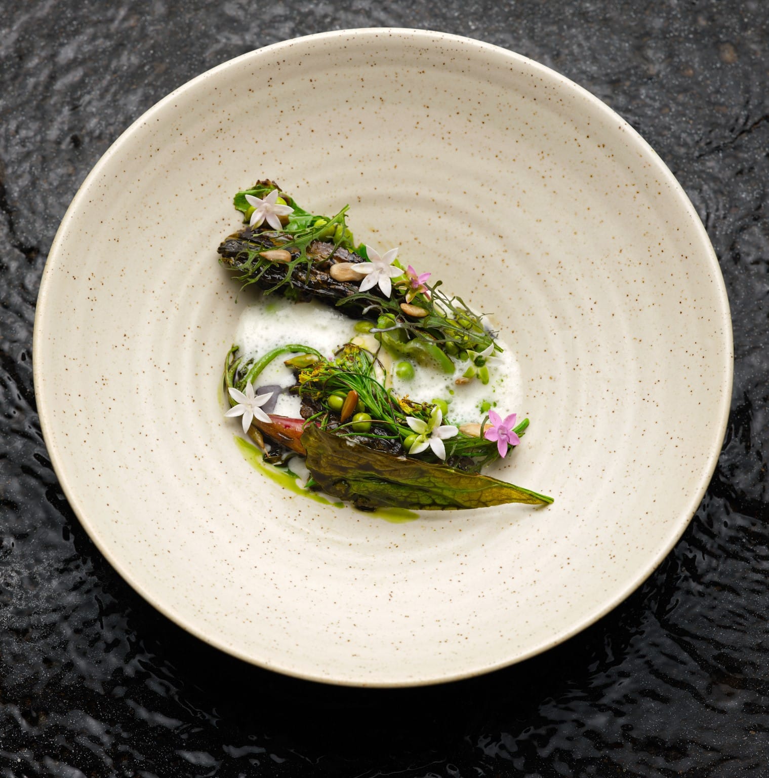 Beautifully presented salad dish